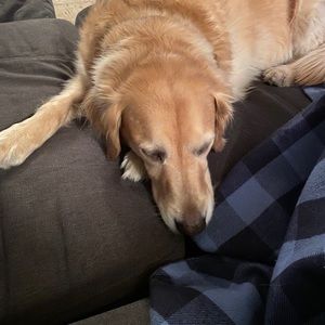 Meet your Posher, Keegan